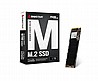 כונן SSD פנימי BIOSTAR M700-1TB