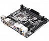 לוח אם H81M-ITX
